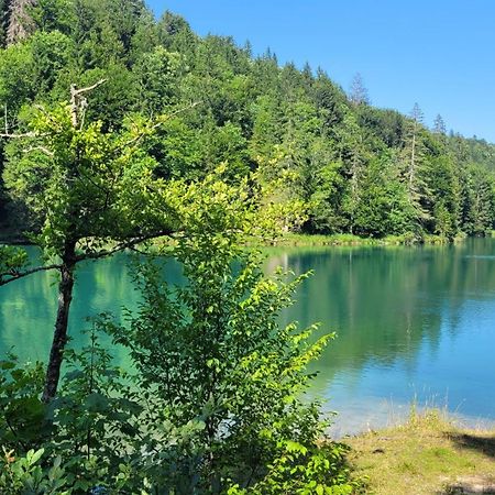 B&B Plitvica Villa Prica Plitvička Jezera 外观 照片