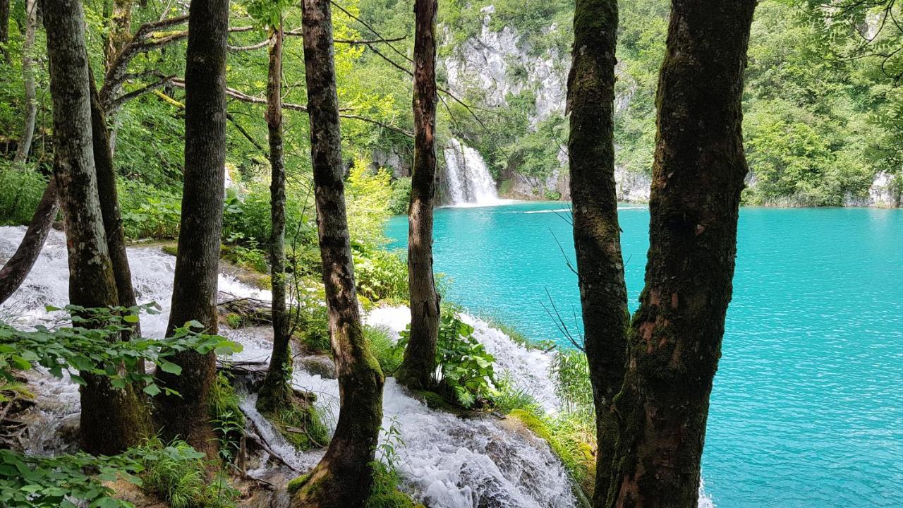 B&B Plitvica Villa Prica Plitvička Jezera 外观 照片