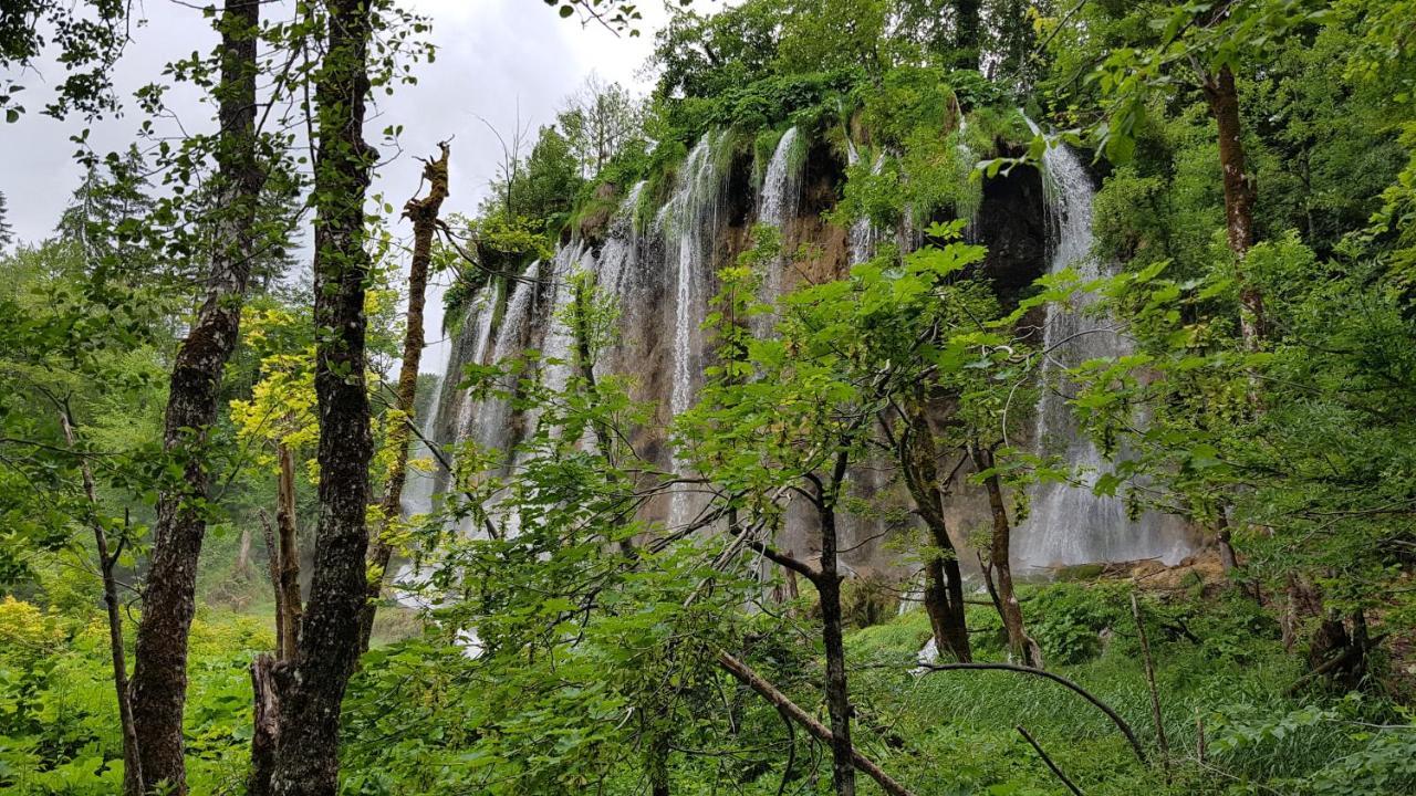 B&B Plitvica Villa Prica Plitvička Jezera 外观 照片